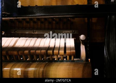 Row of wool felt hammer heads on an upright vertical piano; piano felt hammers. Stock Photo
