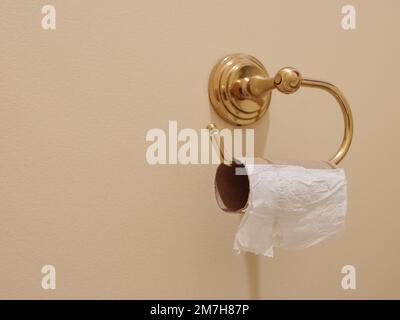 Out of stock toilet paper roll on bathroom wall mounted dispenser. Empty restroom toilet tissue holder. Stock Photo