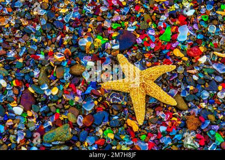 Syarfish Among Sea Glass Stock Photo