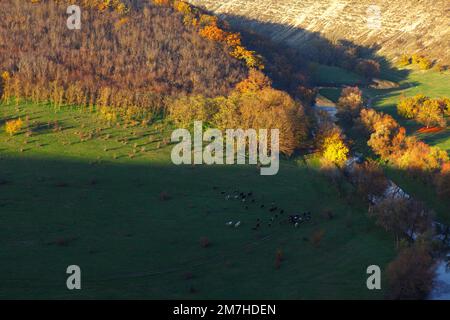 Aerial view of green pasture . Green natural landscape view from above . Amazing riverside valley Stock Photo