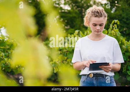 Woman farmer on a green vines field with a tablet in her hands. Smart farm. Farmer checking crops on an agricultural field. The concept of the Stock Photo