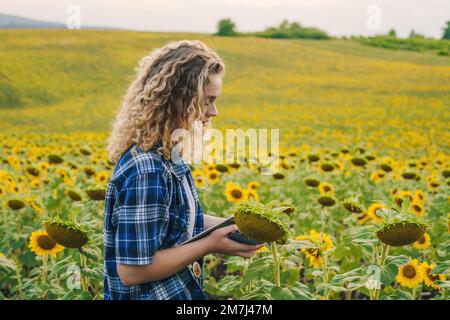 Woman farmer walking among field with sunflowers with a digital tablet his hands. Agriculture concept. Farm-grown oilseed variety. Stock Photo