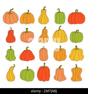Set of pumpkin of various shapes and colors. Thanksgiving and halloween elements. Vector illustration in hand drawn style Stock Vector