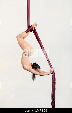 Side view of flexible gracious young female performer with long dark ponytail in beige bodysuit performing trick on hanging aerial silks against white Stock Photo
