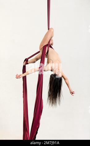 Full body of graceful young slim female artist with long dark hair in beige bodysuit performing tricks on aerial silks against white background Stock Photo
