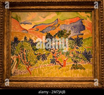 André Derain: Mountains at Collioure, 1905  , National Gallery of Art - East Building, Washington, D.C., USA Stock Photo