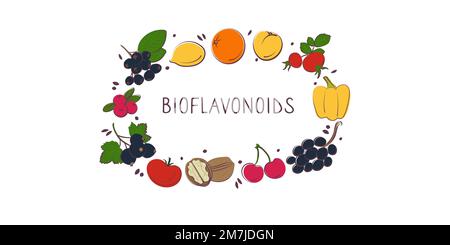 Bioflavonoid-containing food. Groups of healthy products containing vitamins and minerals. Set of fruits, vegetables, meats, fish and dairy Stock Vector