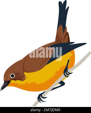 Avian animal species, bird sitting on branches Stock Vector