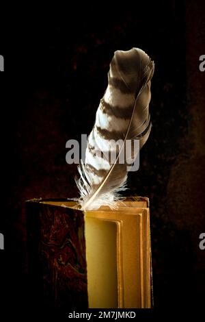 A feather quill poised above an open antique book against a dark background Stock Photo