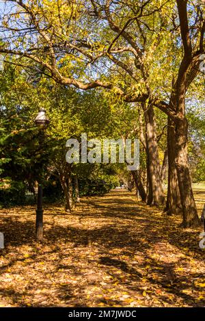Rock Creek Park, Washington D.C Stock Photo - Alamy