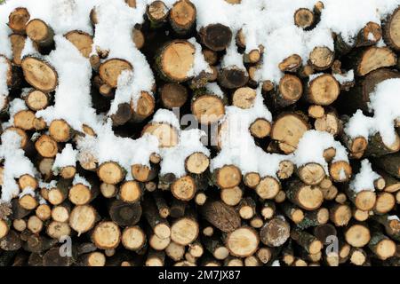 Stacked firewood covered in snow during winter Stock Photo