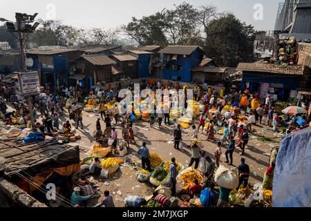 Kolkata, India. 10th Jan, 2023. A view of the Kolkata Flower Market while people begin to arrive in West Begal as a part of the mass pilgrimage for Gangasagar Mela 2023. Credit: Matt Hunt/Neato/Alamy Live News Stock Photo