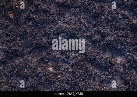 black Ash abstract background  in fireplace natural Texture Stock Photo