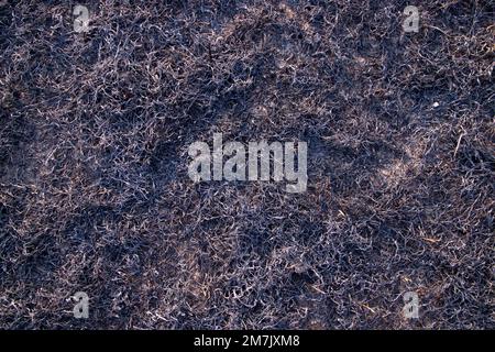 black Ash abstract background  in fireplace natural Texture Stock Photo