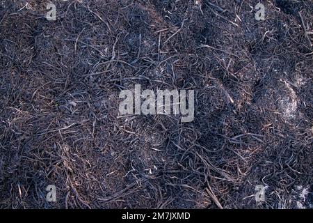 black Ash abstract background  in fireplace natural Texture Stock Photo