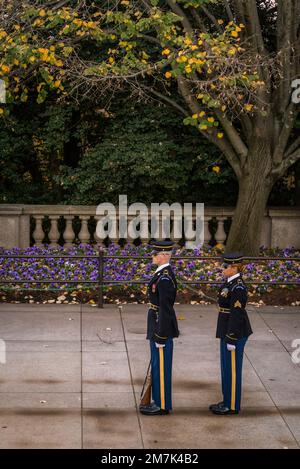 Changing of the Guard, the military guard at the Tomb of the Unknown Soldier is changed in an elaborate ceremony, Arlington National Cemetery, USA Stock Photo