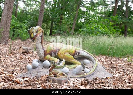 Oertijdmuseum-Boxtel-12-06-2022:Baby dinosaur at museum the Netherlands Stock Photo