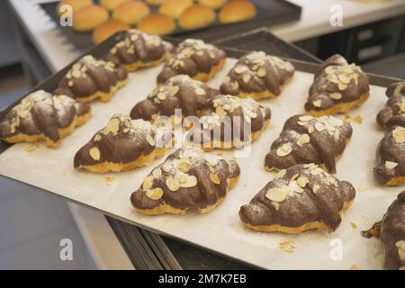 fresh baked chocolate croissants on a tray at bakery  Stock Photo