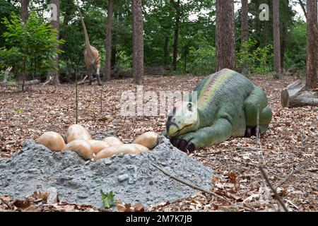 Oertijdmuseum-Boxtel-12-06-2022:Baby dinosaur at museum the Netherlands Stock Photo