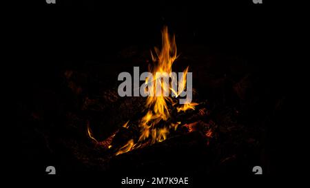Charred logs burning in a firepit Stock Photo