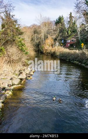 Calm Des Moines Creek in Washington State. Stock Photo