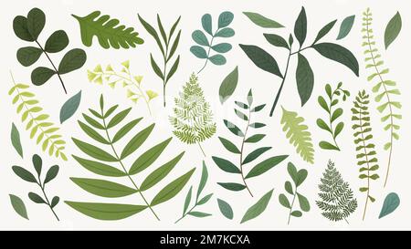 Green leaf design element set on a beige background vector Stock Vector