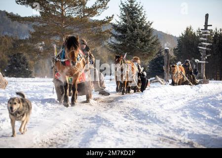 Horse drawn sleigh rides in the snow at the Festival du Voyageur in ...