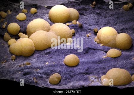 Rocks and Minerals, Aragonite crystal, lab sample Stock Photo