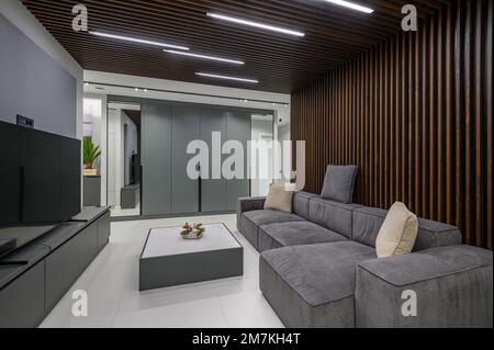 Luxury living room and hall in studio apartment Stock Photo