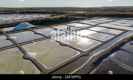 Aerial view of the salt marshes of Guerande in summer. Sunlight with salt marsh workers collecting fleur de sel Stock Photo