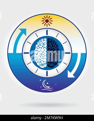 Melatonin and Circadian rhythm regulation. Brain with pineal gland and ...