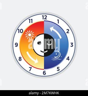 Circadian rhythm and sleep-wake cycle stock illustration, Healthy day-night biological natural body cycle diagram, Stock Vector