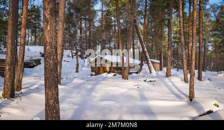 Snowy forest with log cabin in Finland. Stock Photo