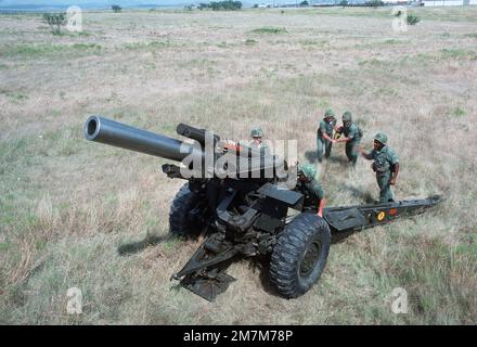 A US Army artillery crew loads an M114 155 mm howitzer during a training exercise. Country: Unknown Stock Photo