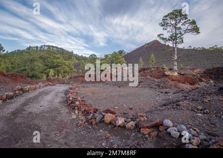 Brown volcanic landscape featuring the tree, clearly marked trail, a sandy hill, green woods and igneous rocks, in late afternoon blue sky with cirrus Stock Photo