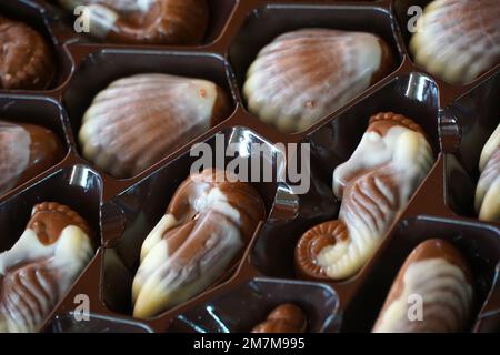 chocolate candies seashells and other sea creatures Best gift for girls and women. Wonderful dessert for any occasion. Beautiful design and great tast Stock Photo