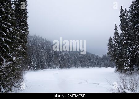 The winter forest in the distance is covered with mountain fog. Stock Photo