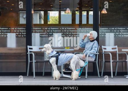 Japan, Honshu, Tokyo, Lady with Poodle Sitting Outside Coffee Shop Stock Photo