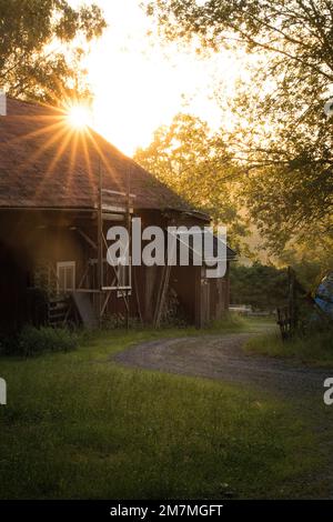 Sunset at country house in forest Stock Photo