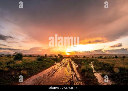 Sunset in the savannah of Africa, rain clouds in Tsavo West National Park, Taita Hills, Kenya, Africa Stock Photo