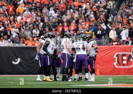 The Cincinnati Bengals huddle during an NFL wild-card football game against  the Baltimore Ravens on Sunday, Jan. 15, 2023, in Cincinnati. (AP  Photo/Emilee Chinn Stock Photo - Alamy