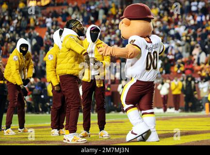 Washington Commanders mascot 'Major Tuddy' pictured during an NFL football  game against the Dallas Cowboys, Sunday, January 8, 2023 in Landover. (AP  Photo/Daniel Kucin Jr Stock Photo - Alamy