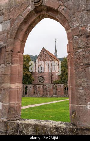 Europe, Germany, Southern Germany, Baden-Wuerttemberg, Black Forest, Hirsau, View from the cloister to the Lady Chapel in Hirsau Monastery Stock Photo