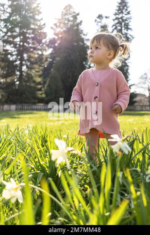 Europe, Germany, Baden-Wuerttemberg, Stuttgart, Hohenheim Castle, Little girl standing in a sunny meadow Stock Photo