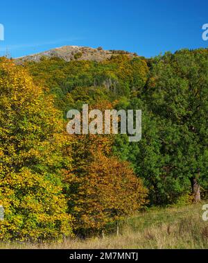 Europe, Germany, Hesse, East Hesse, UNESCO Biosphere Reserve Rhön, Hessian Rhön Nature Park, Poppenhausen, View to the summit of the Pferdskopf Stock Photo