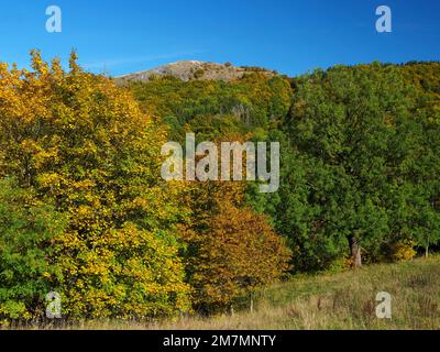 Europe, Germany, Hesse, East Hesse, UNESCO Biosphere Reserve Rhön, Hessian Rhön Nature Park, Poppenhausen, View to the summit of the Pferdskopf Stock Photo