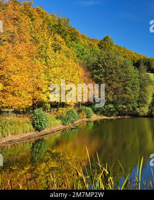 Europe, Germany, Hesse, Eastern Hesse, Rhön UNESCO Biosphere Reserve, Hessian Rhön Nature Park, Poppenhausen, 'Guckaisee' Recreational Area Stock Photo