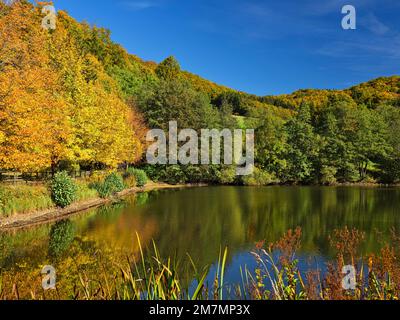 Europe, Germany, Hesse, Eastern Hesse, Rhön UNESCO Biosphere Reserve, Hessian Rhön Nature Park, Poppenhausen, 'Guckaisee' Recreational Area Stock Photo