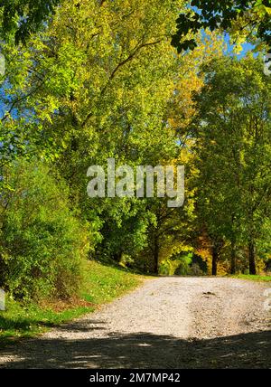 Europe, Germany, Hesse, Eastern Hesse, Rhön UNESCO Biosphere Reserve, Hessian Rhön Nature Park, Poppenhausen, 'Hochrhöner Premiumweg' Hiking Trail at Pferdskopf Stock Photo