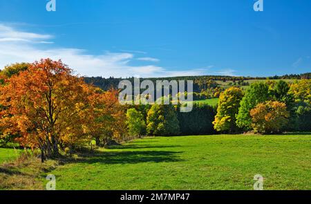 Europe, Germany, Hesse, Eastern Hesse, Rhön, UNESCO Biosphere Reserve Rhön, Hessian Rhön Nature Park, nature reserve, view over forest and meadow landscape near Wüstensachsen, rowan trees in autumn foliage Stock Photo